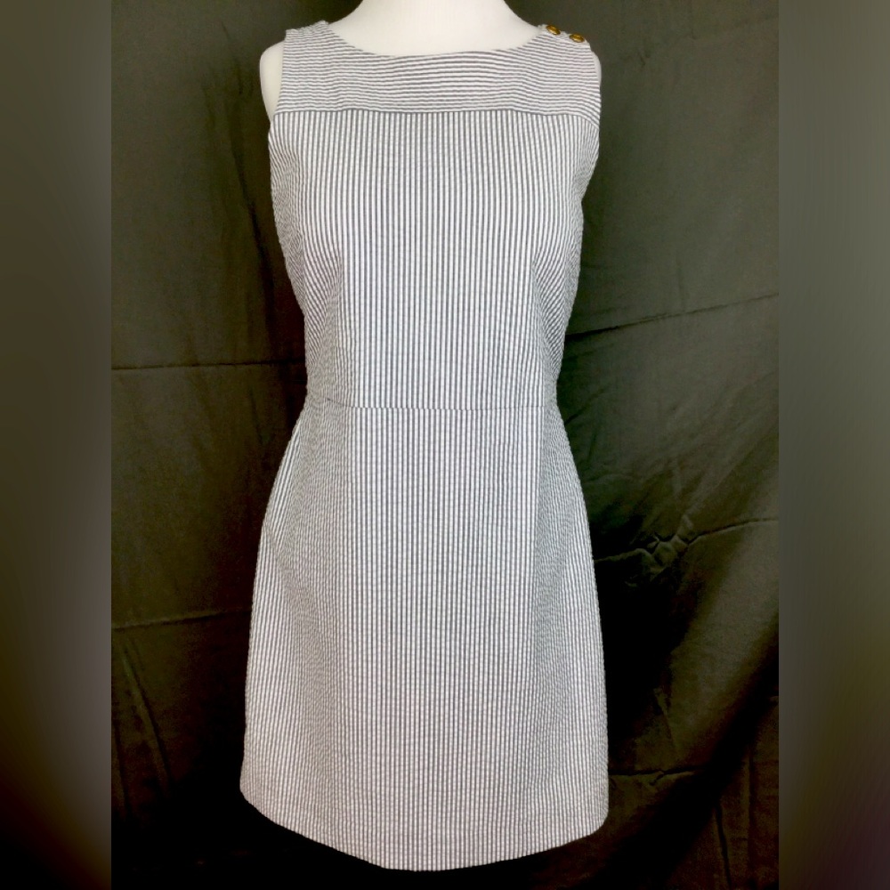 Banana Republic Summer Stripe Sheath Dress Sz 6 NWT